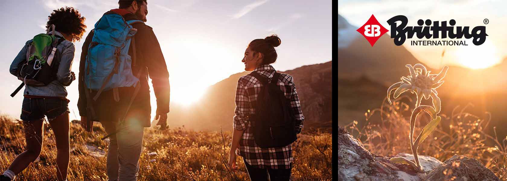 BRÜTTING Markenbanner