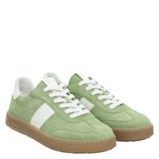 SIOUX, TEDROSO, GRÜN 