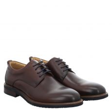 DIGEL, SASCHA, BRAUN 