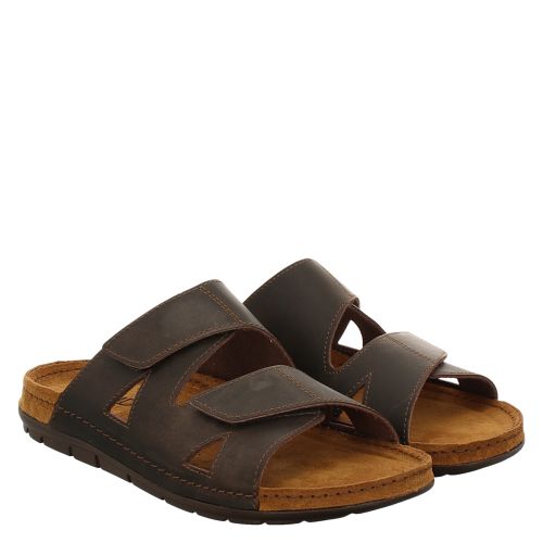 ROHDE, RODIGO H G, BRAUN