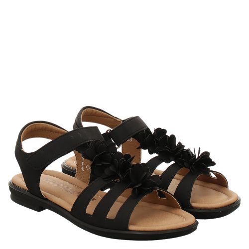 RICOSTA, AURORA, SCHWARZ