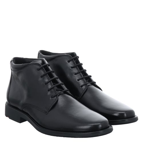 LLOYD, JERRY, SCHWARZ